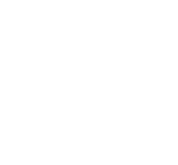 Dark Vector