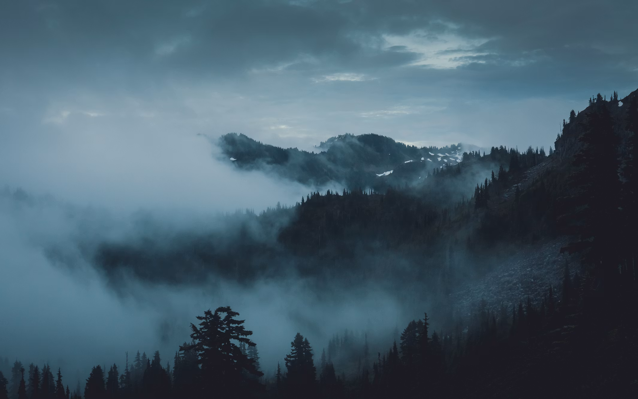 Best Things To Do at Olympic National Park with an RV: The Complete Guide