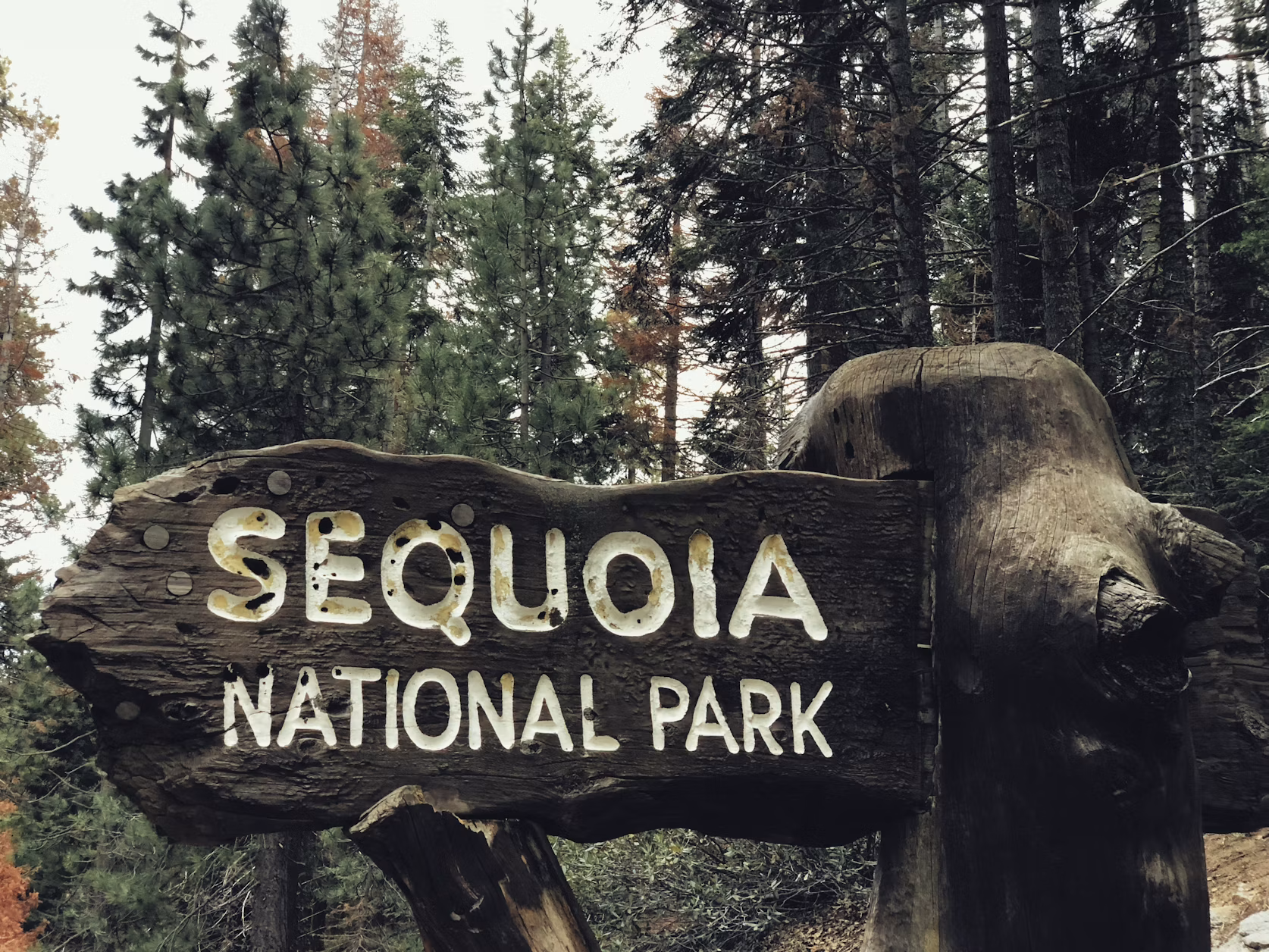 Best Things To Do at Sequoia & Kings Canyon National Parks with an RV: The Complete Guide