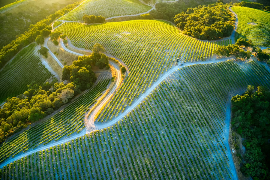 California Wine Country RV Road Trip: Santa Ynez, Paso Robles & Napa/Sonoma