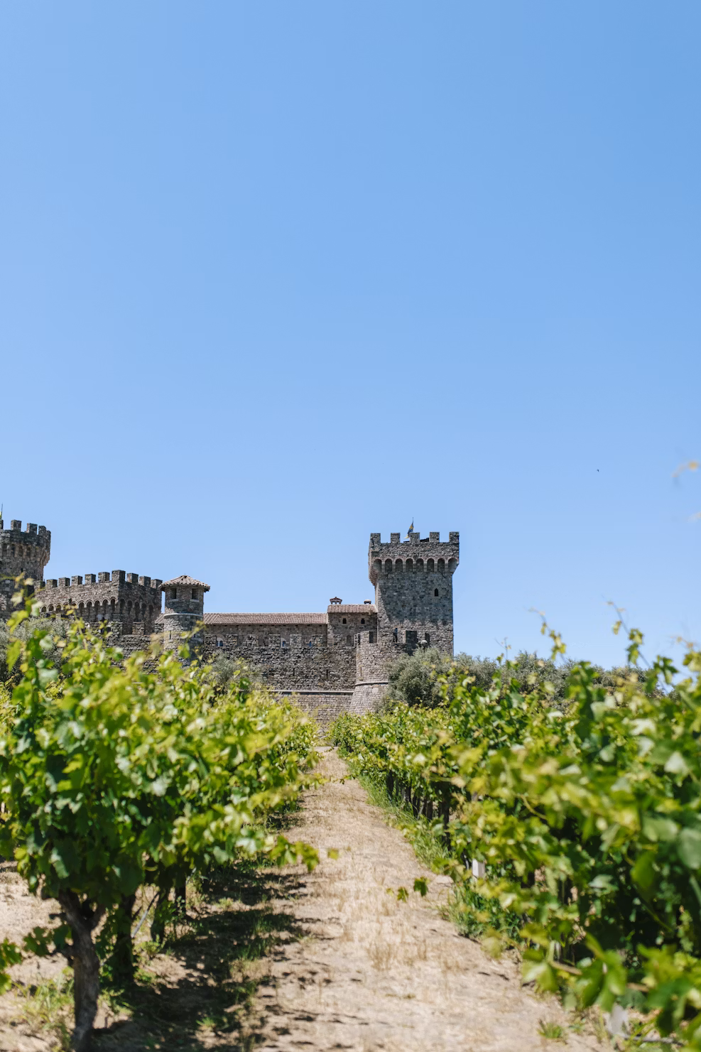 Napa & Sonoma Wine Country RV Guide: California's Most Famous Wine Destination
