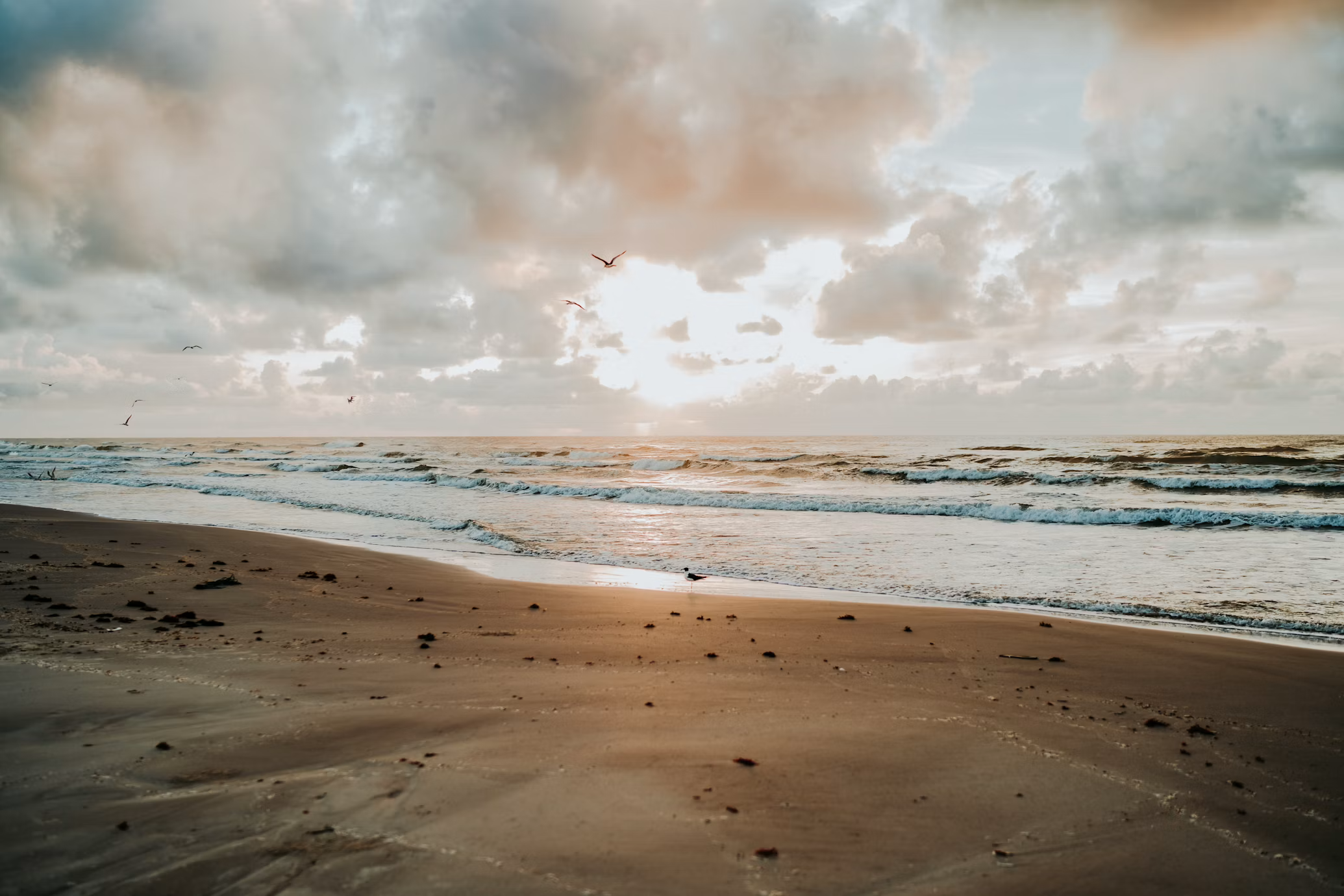 Texas RV Snowbird Guide: The Underrated Winter Escape