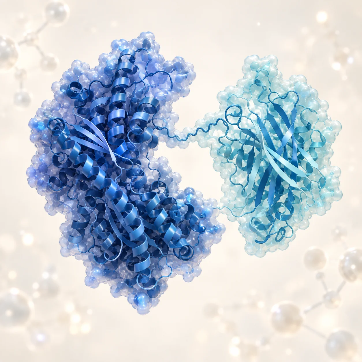 Three-dimensional view of the purified botulinum toxin molecule used as a neuromodulator