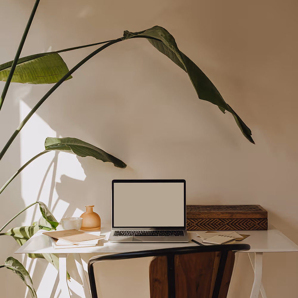 Minimal desk setup with laptop, papers, vase, and large green leaf plant casting shadows on beige wall.