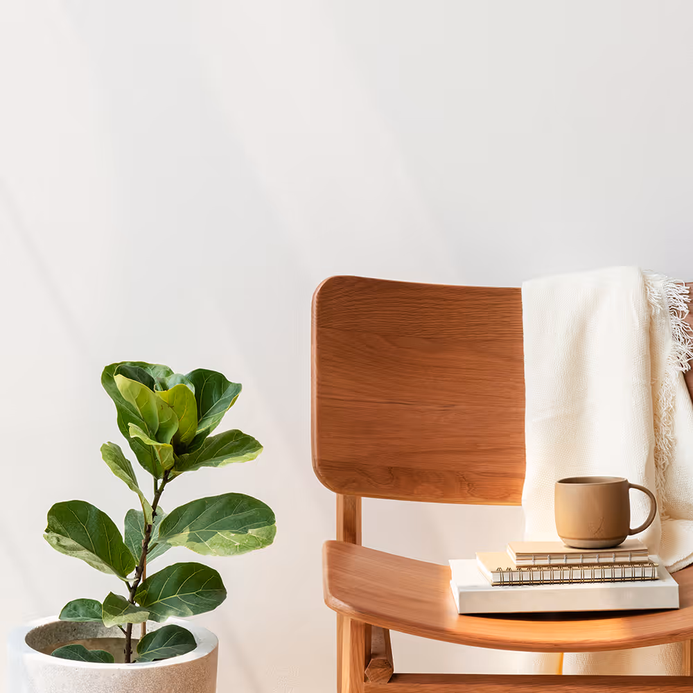 Wooden chair with cream throw, stacked notebooks, and brown mug next to potted green plant.