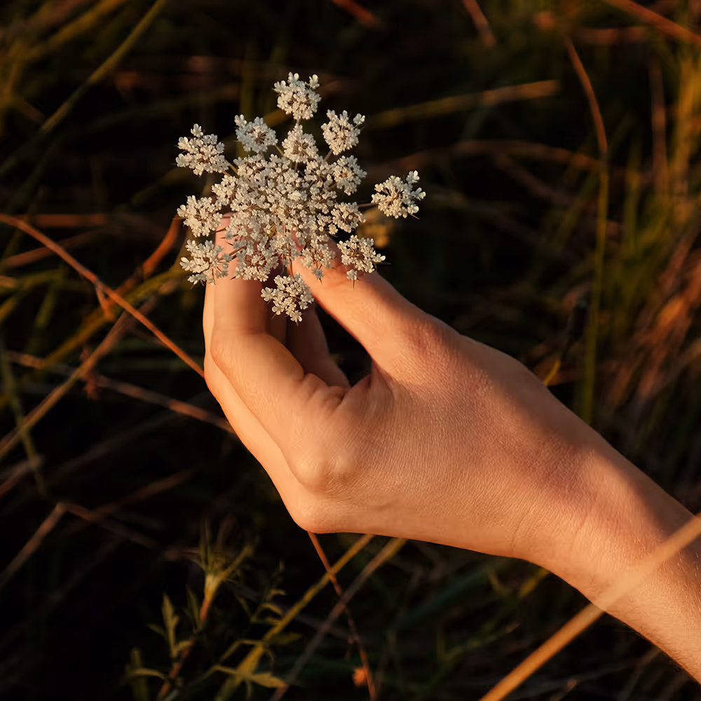 Grief & Loss Therapy in Dallas & McKinney | Bentley