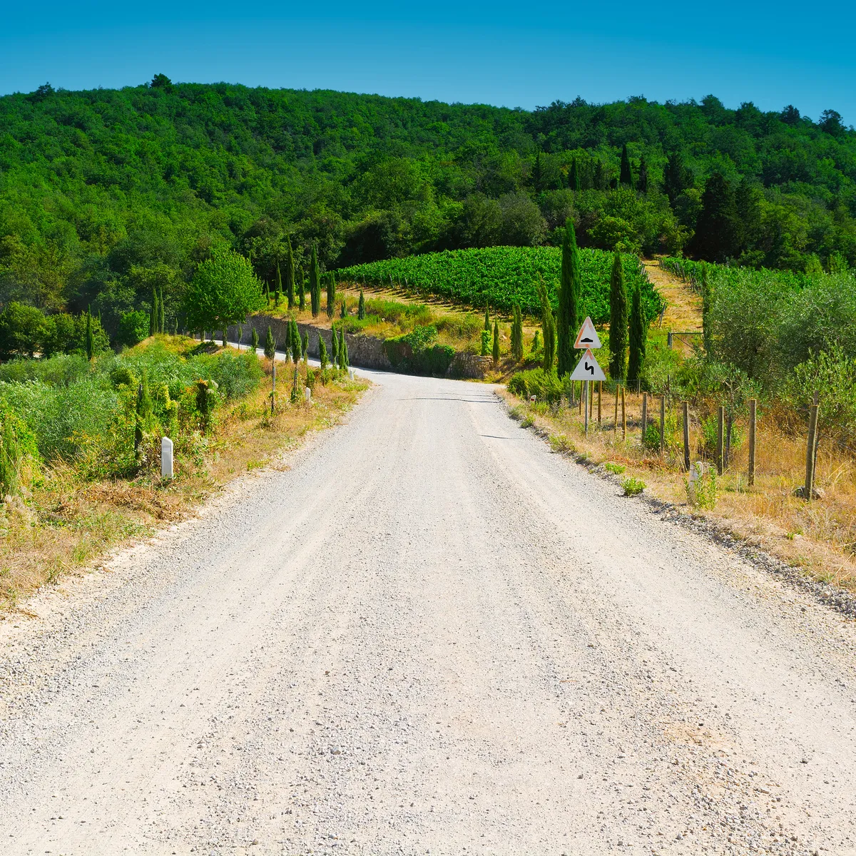 Gravel roads through wineries in Tuscany