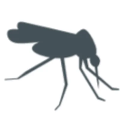 Insects or pets