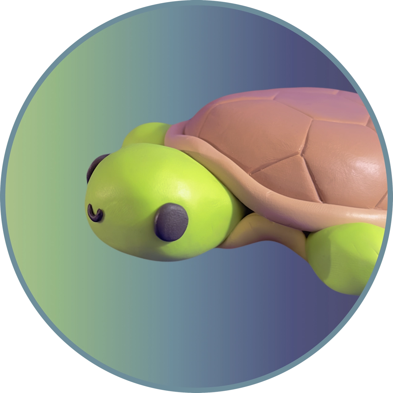 Clay Trtle.T mascot.