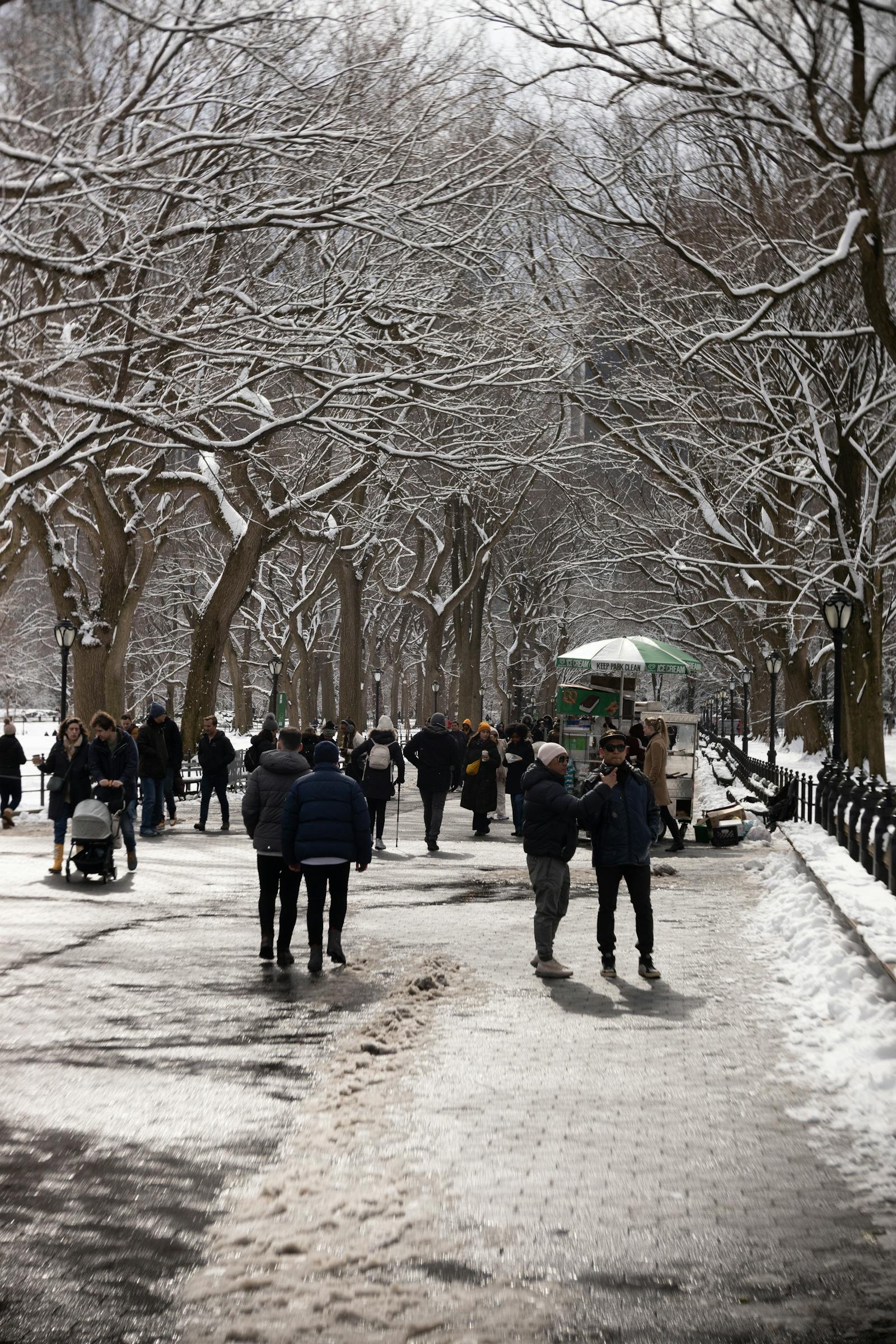 People walking through New York's Central Park on a crisp winter day, surrounded by snow-covered trees. Photo by Brent Singleton on Pexels.
