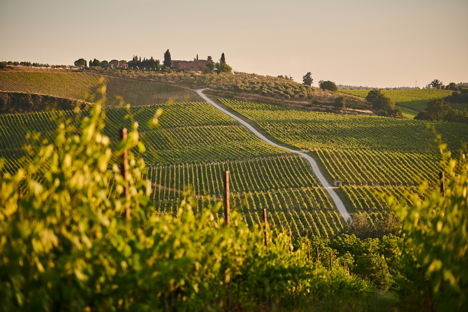 Evening light over Chianti vineyards, a white road winding up to a hilltop farmhouse. Photo by Johny Goerend on Unsplash.