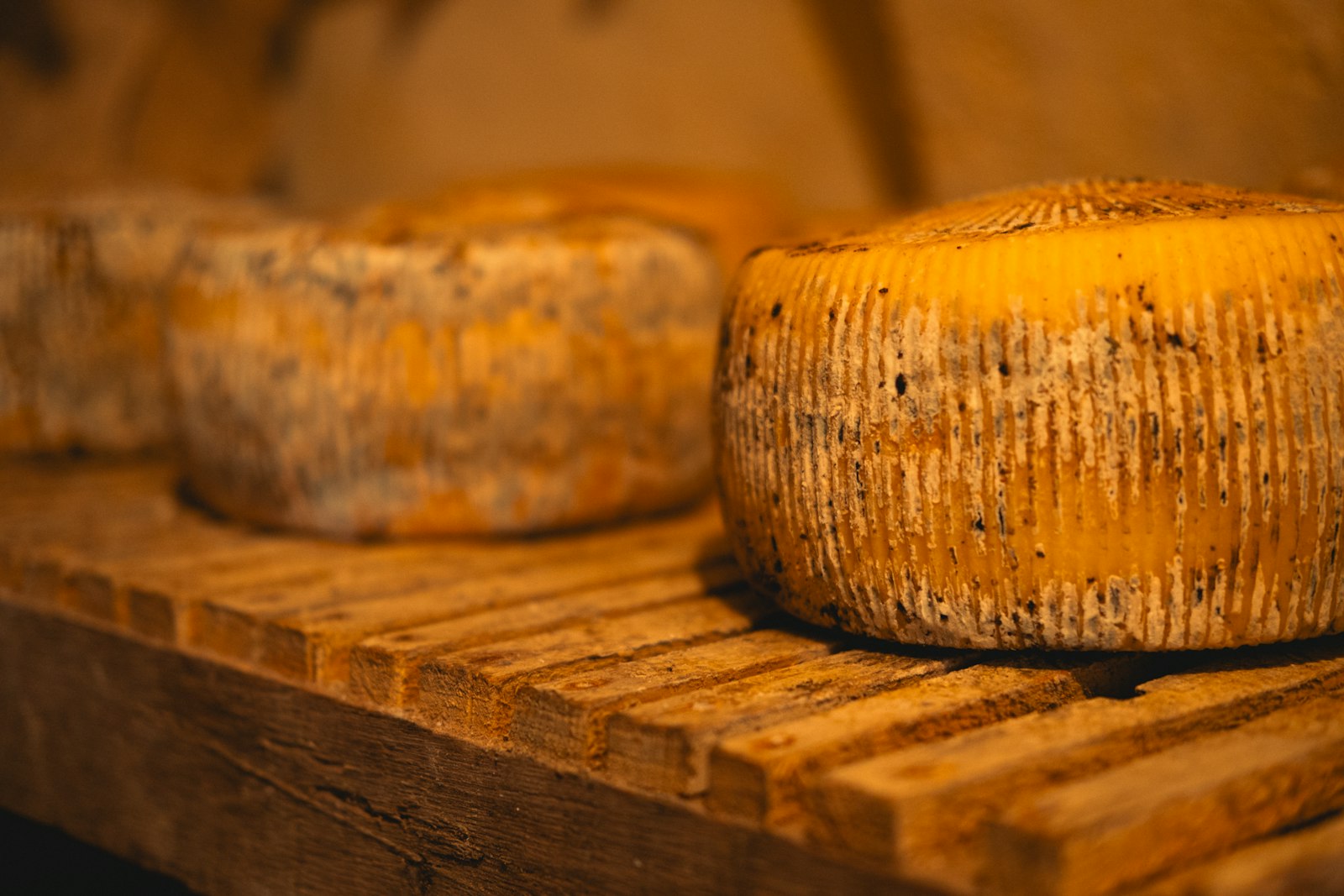 Wheels of cured, rind-rubbed cheese on a wooden shelf. Photo by Michael Lock on Unsplash.