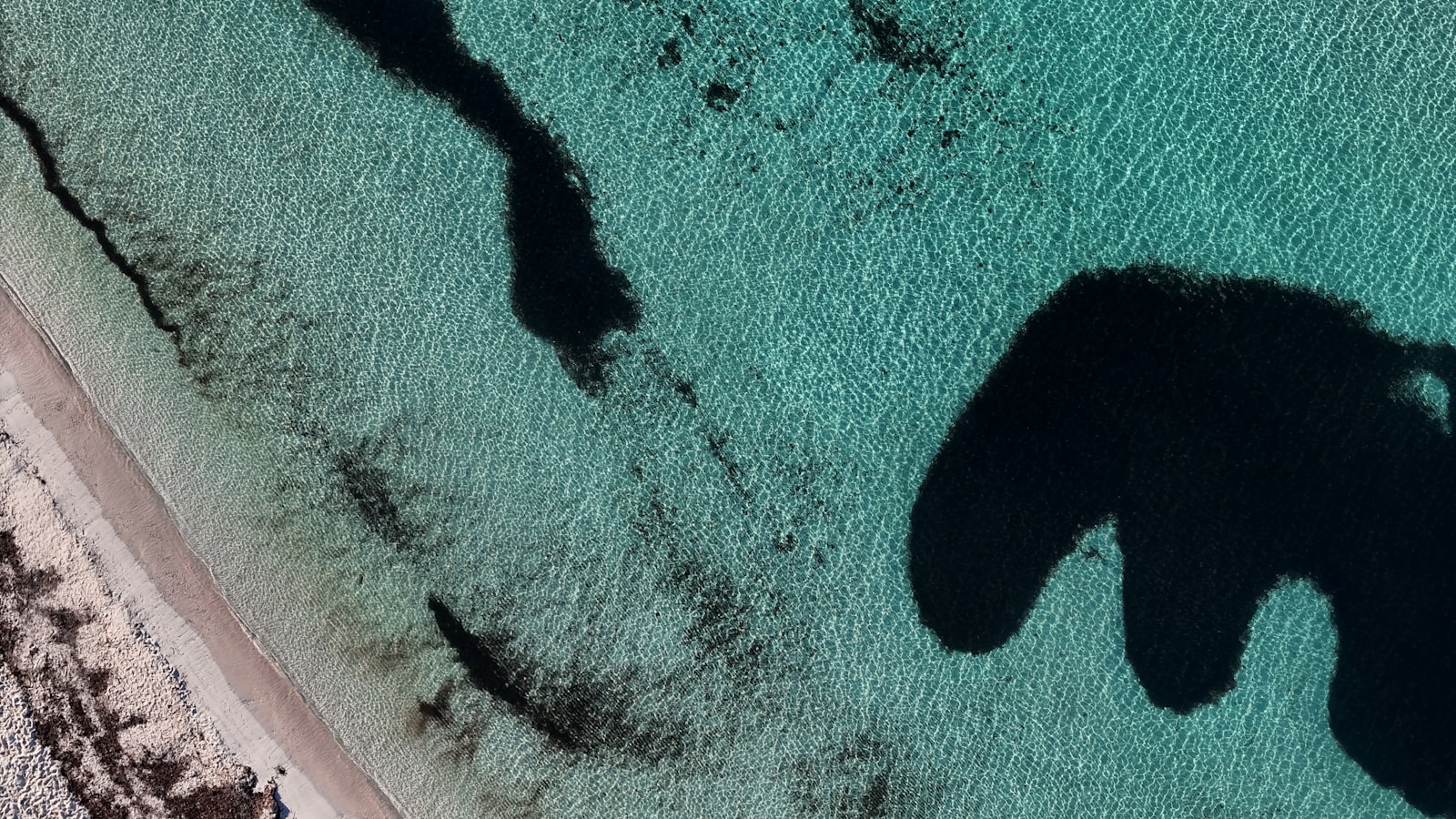 An aerial view of a turquoise Menorcan cove and its crescent of sand. Photo by Peter B on Unsplash.