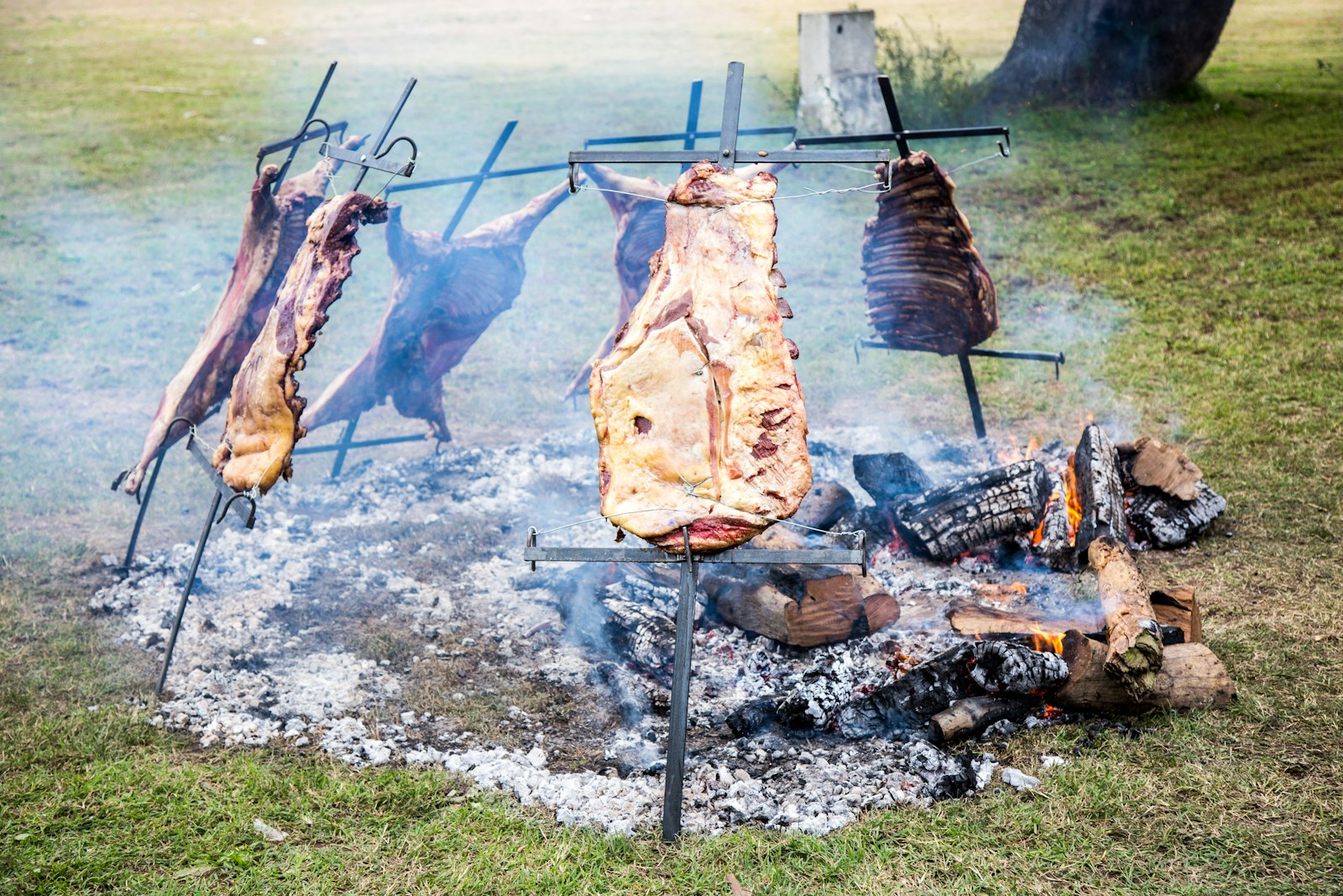 An Argentine asado cooking on iron crosses beside an open fire. Photo by Diego Rodriguez on Unsplash.