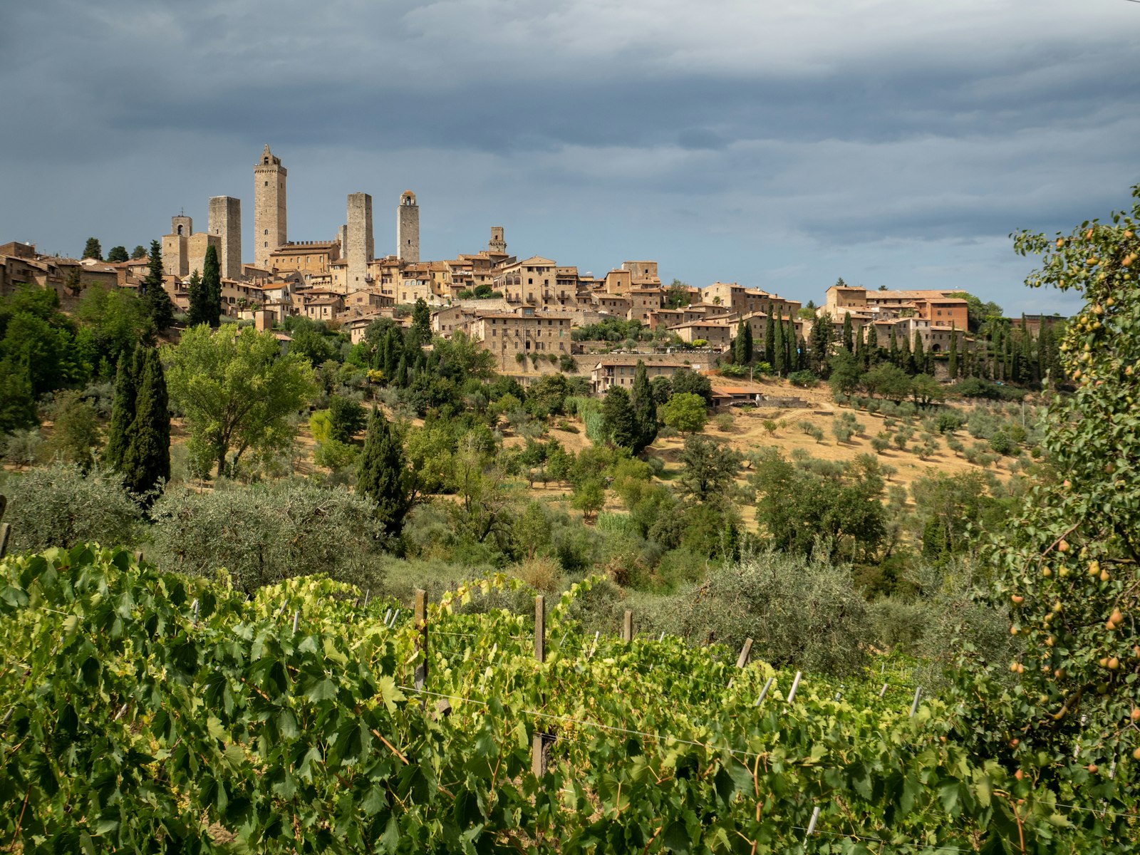 The medieval towers of San Gimignano rising above terracotta rooftops. Photo by Flo P on Unsplash.