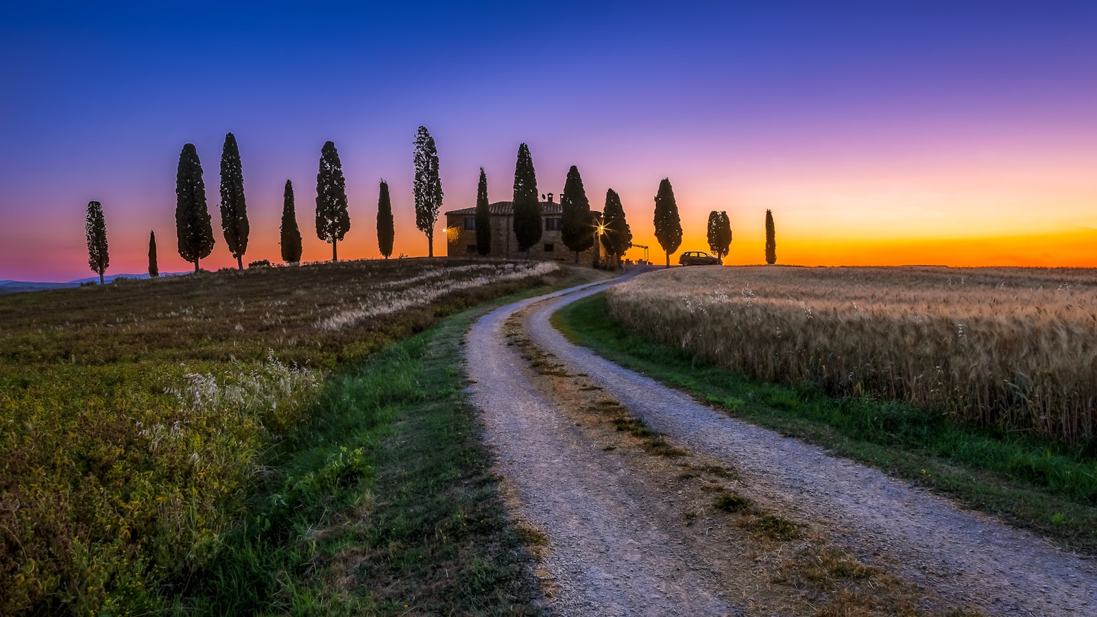 A cypress-lined road winding through the Tuscan hills. Photo by Samuele Bertoli on Unsplash.