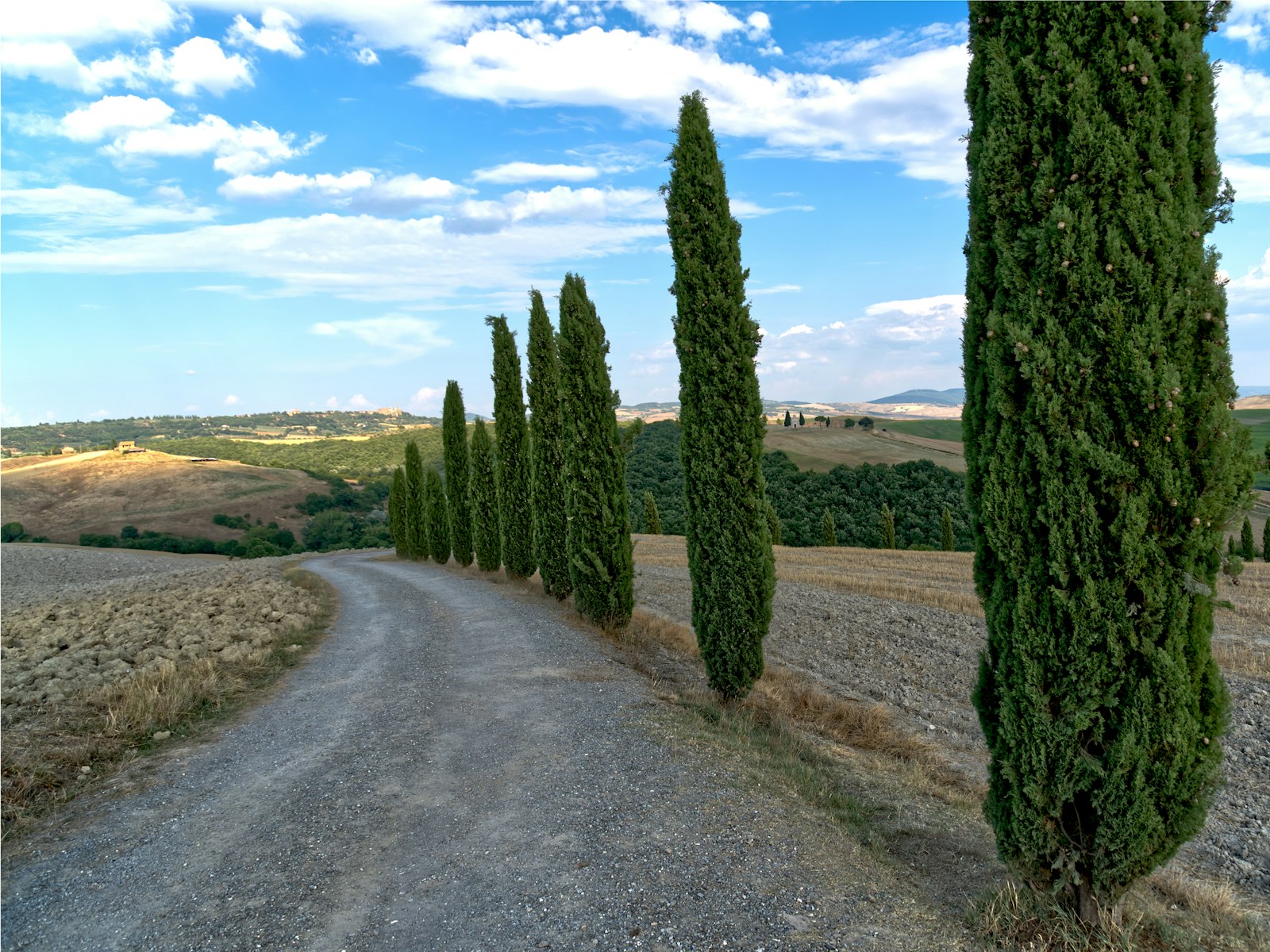 A white gravel road lined with cypress trees in Val d'Orcia. Photo by Luca Florio on Unsplash.