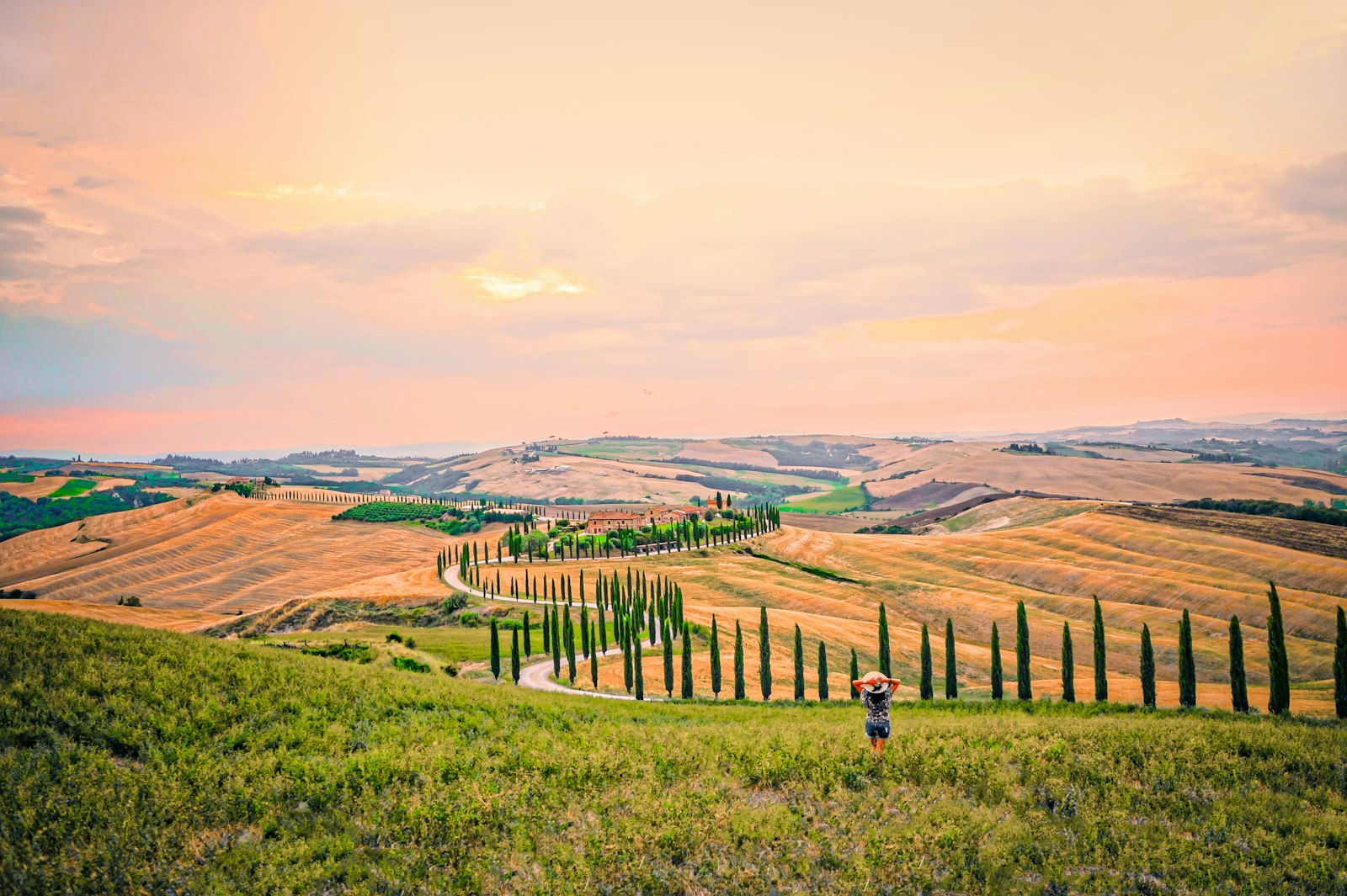 Cypress trees on the rolling Tuscan hills near Siena at sunset. Photo by Richard Hatleskog on Unsplash.