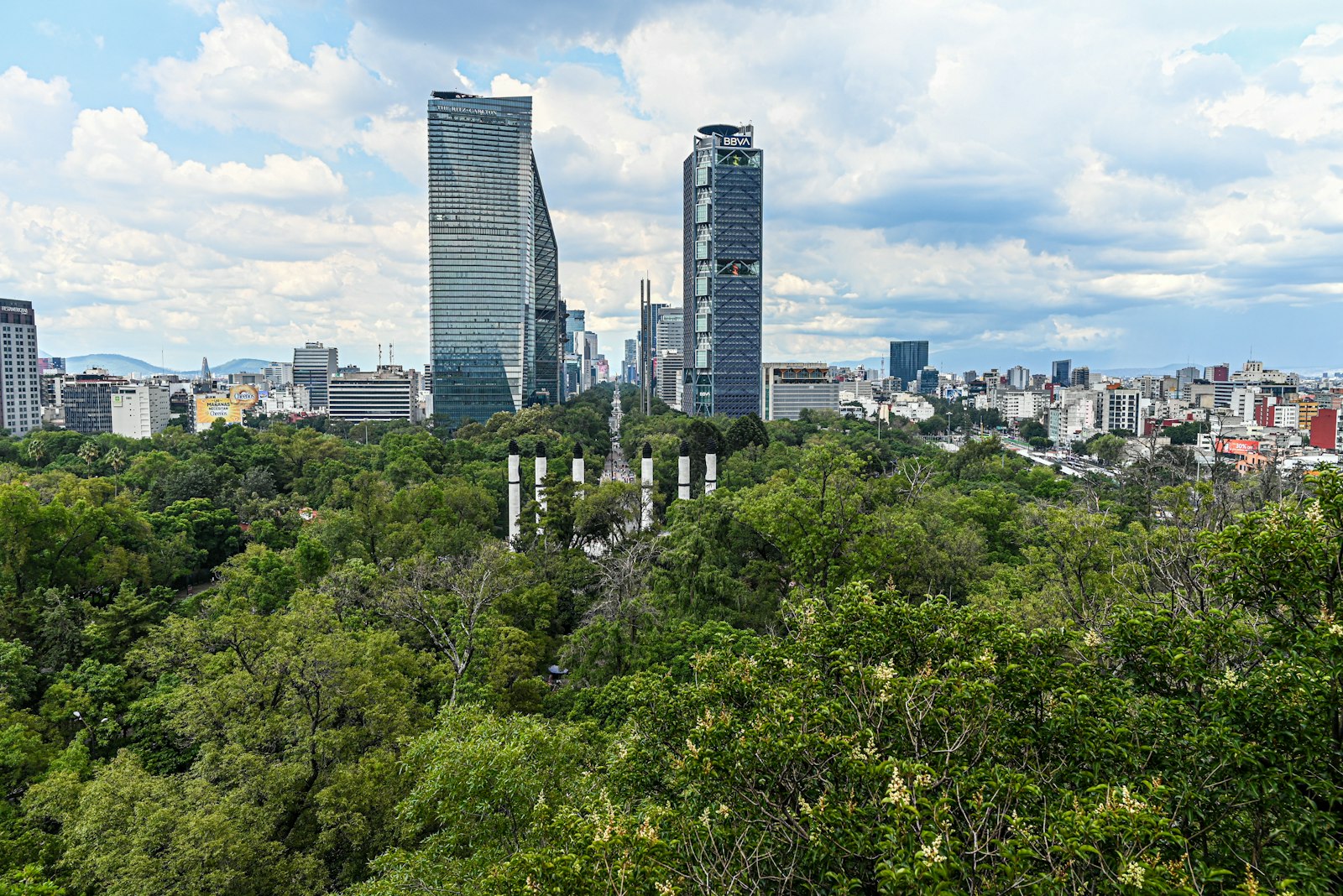 The Reforma skyline rising over the trees of Bosque de Chapultepec, Mexico City. Photo by Fernando Mola-Davis on Unsplash.
