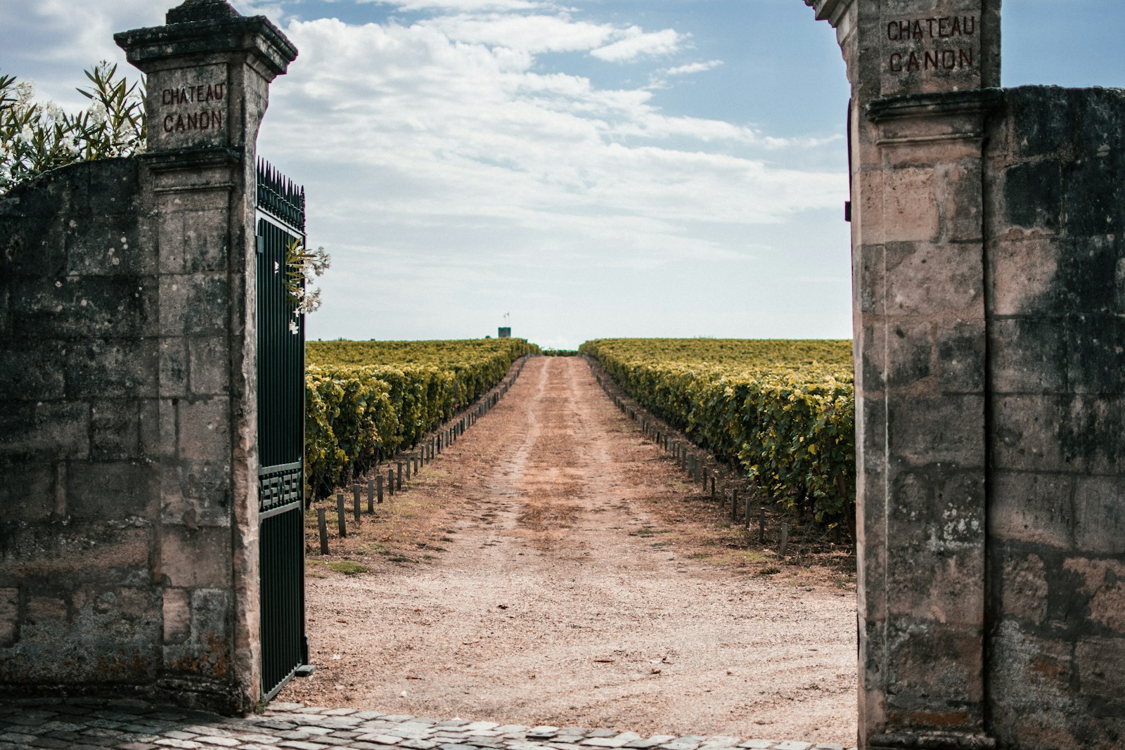 El portón de un château abriéndose a hileras de viñas en la región vinícola de Burdeos. Foto de Omar Sotillo Franco en Unsplash.