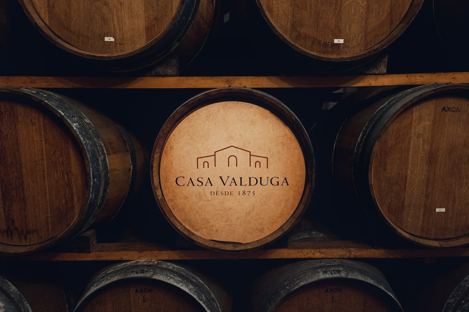 Rows of oak barrels aging wine in a cellar — the trade that built Bordeaux. Photo by Mauro Lima on Unsplash.