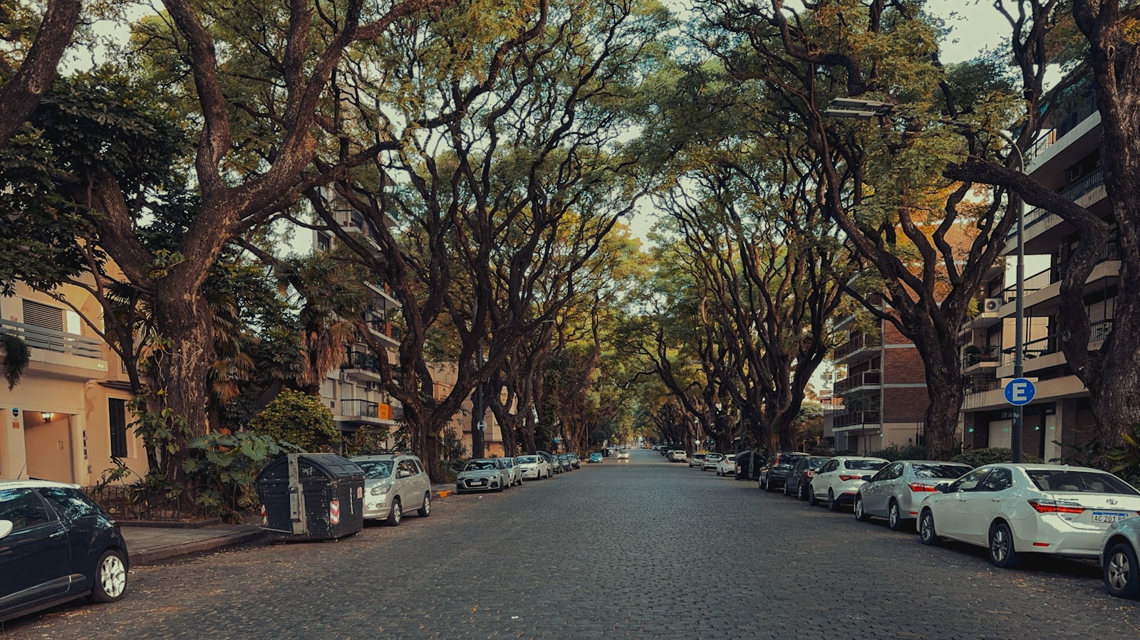Una calle residencial y arbolada de Buenos Aires, autos estacionados y edificios bajos bajo una bóveda de árboles. Foto de Juan Pablo Mascanfroni en Unsplash.