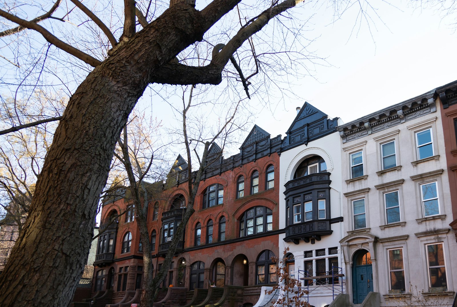 Una hilera de brownstones con sus escalinatas en una tranquila cuadra residencial y arbolada de Nueva York. Foto de Sam Balye en Unsplash.
