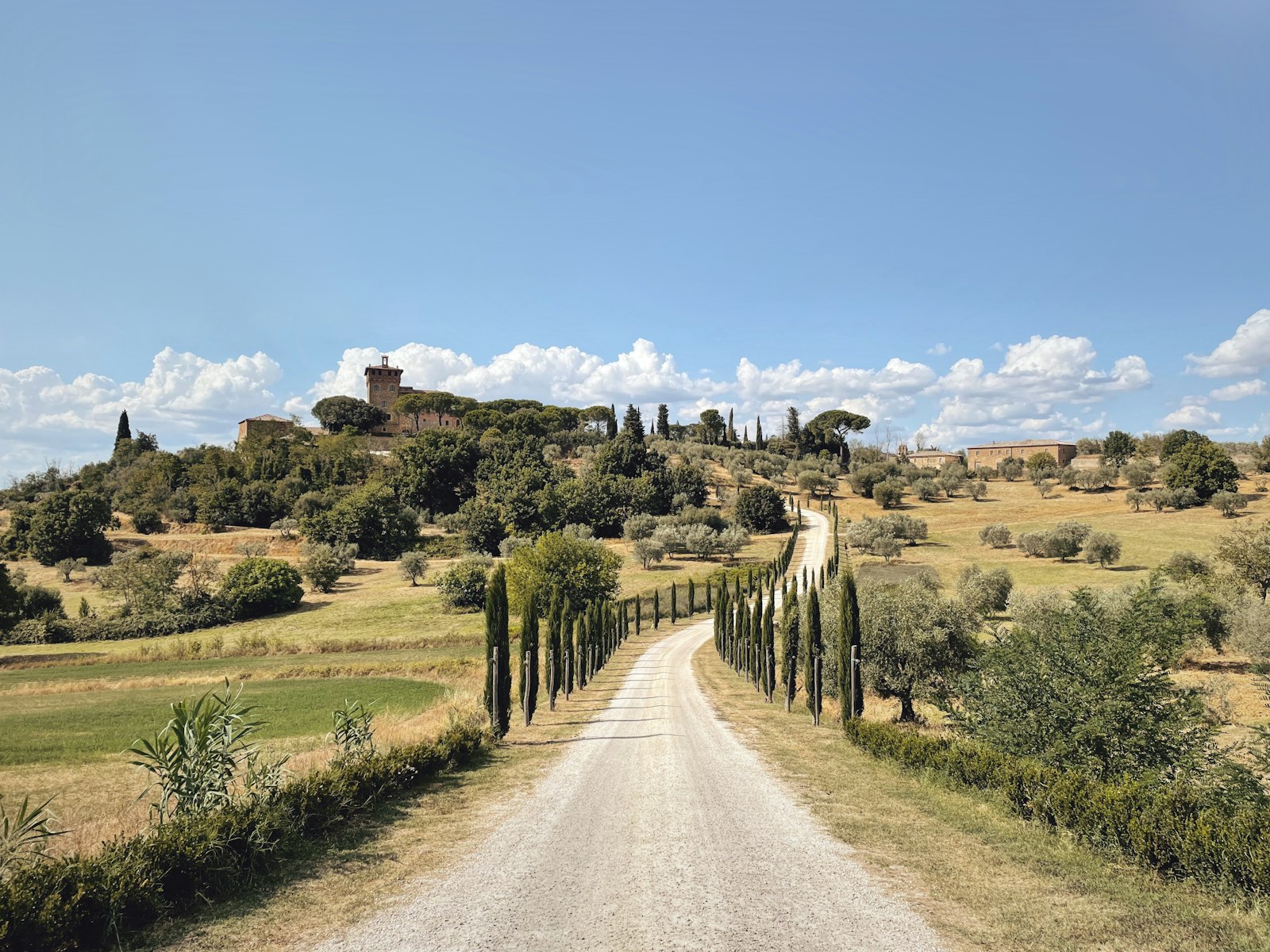 Un camino de grava blanca bordeado de cipreses que sube hacia una villa en una colina de la Toscana. Foto de Kristof Van Rentergem en Unsplash.