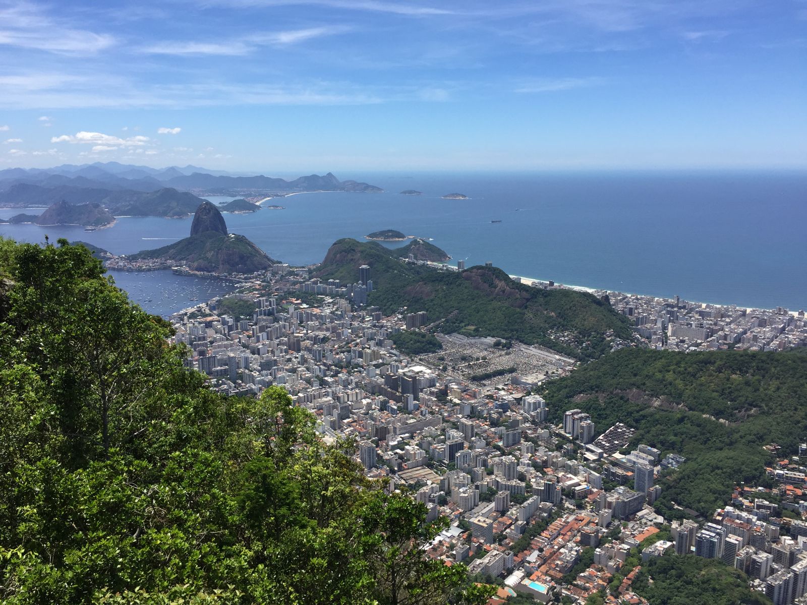 La vista de Río y el mar desde lo alto del bosque sobre la ciudad. Foto de Lachcim Kejarko en Pexels.