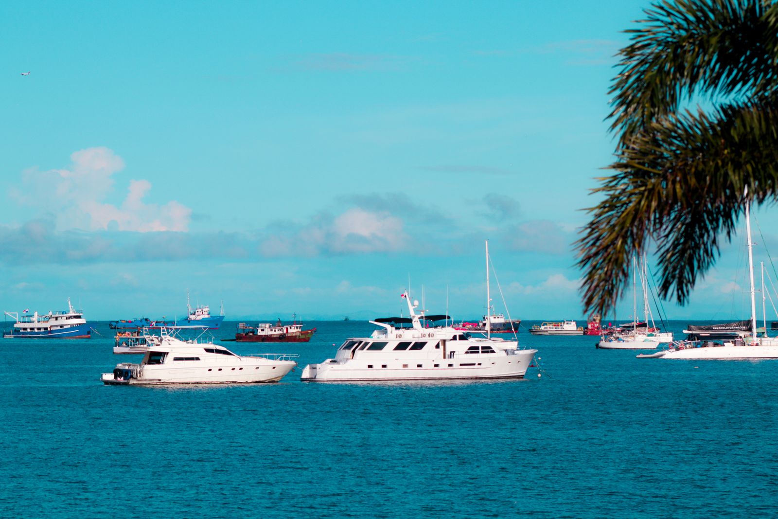 Lanchas fondeadas en agua turquesa frente a una costa con palmeras. Foto de Delmy Ramos en Pexels.