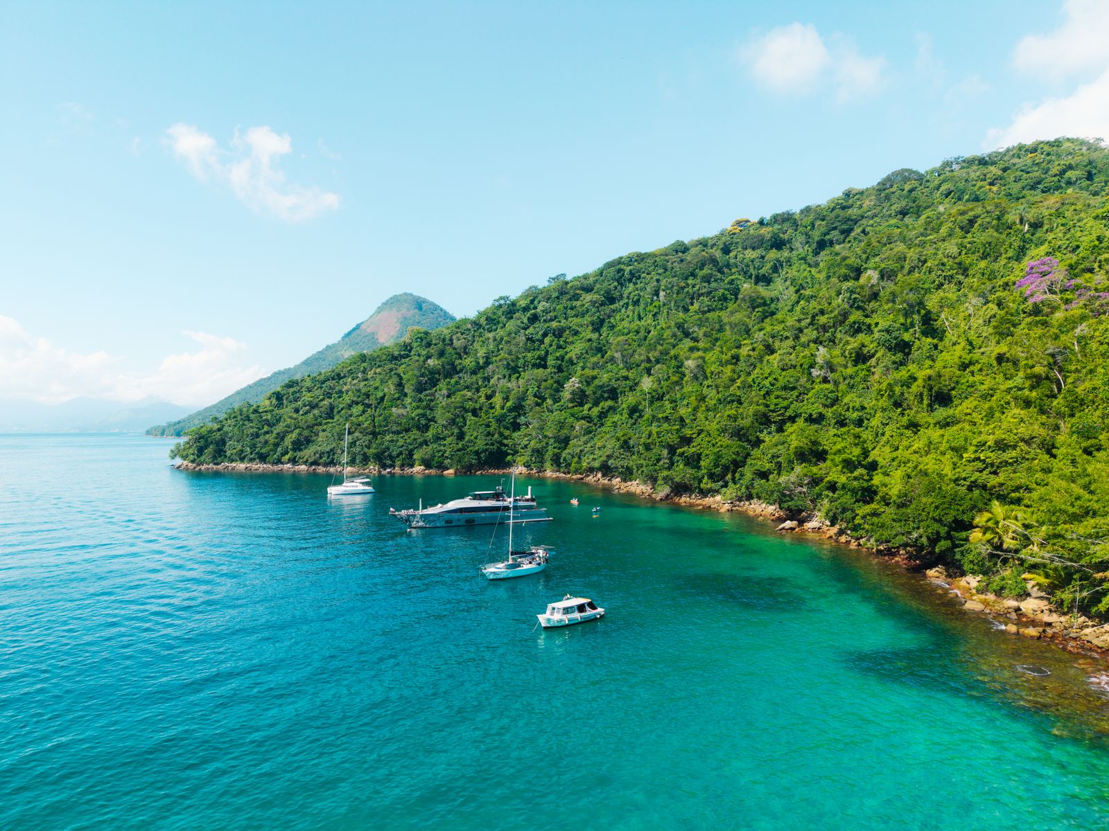 A forested island and anchored boats in the green water of the coast near Rio. Photo by Pedro Slinger on Pexels.