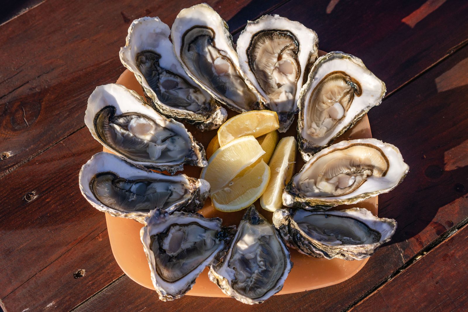 A dozen freshly opened oysters on a wooden table with lemon. Photo by Atlantic Ambience on Pexels.