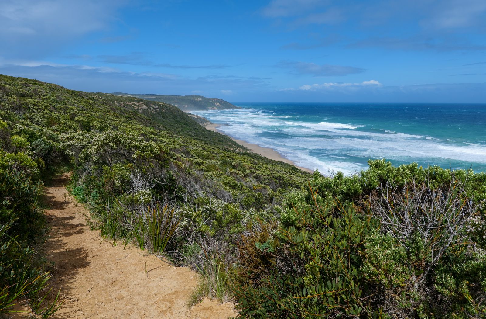 A footpath running over a green headland high above a long empty beach. Photo by Mark Direen on Pexels.