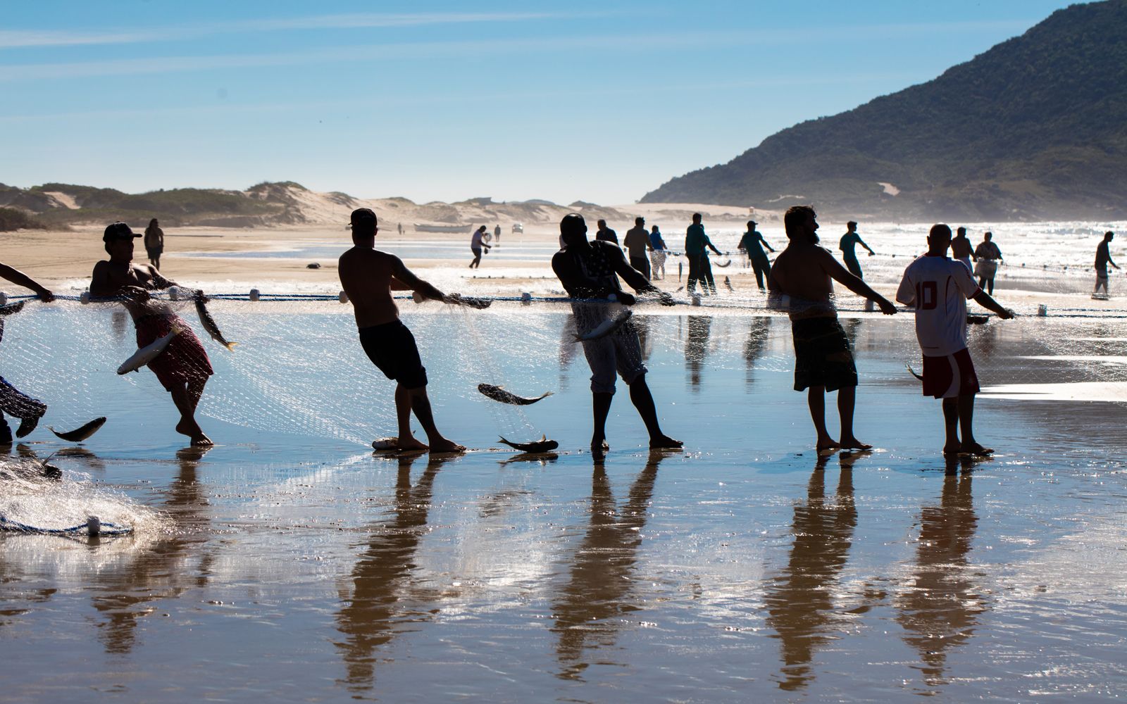 A line of fishermen hauling a net in together through the shallows on an open beach. Photo by Jari Lobo on Pexels.