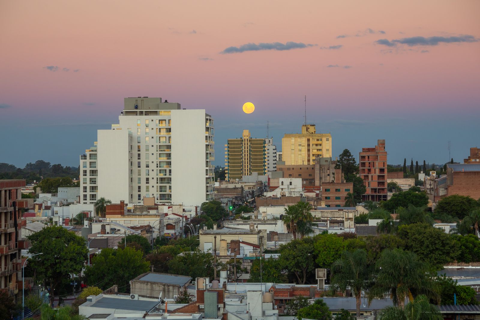 Apartment towers and trees in Córdoba, Argentina, at dusk. Photo by Agustin Devani on Pexels.