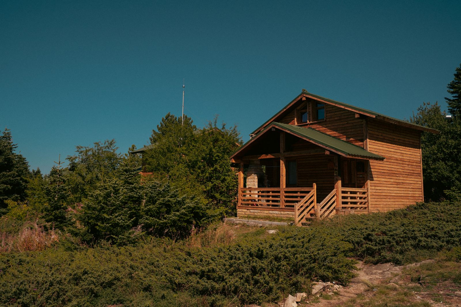 A wooden cabin on a pine-covered hillside. Photo by Osman Koşar on Pexels.