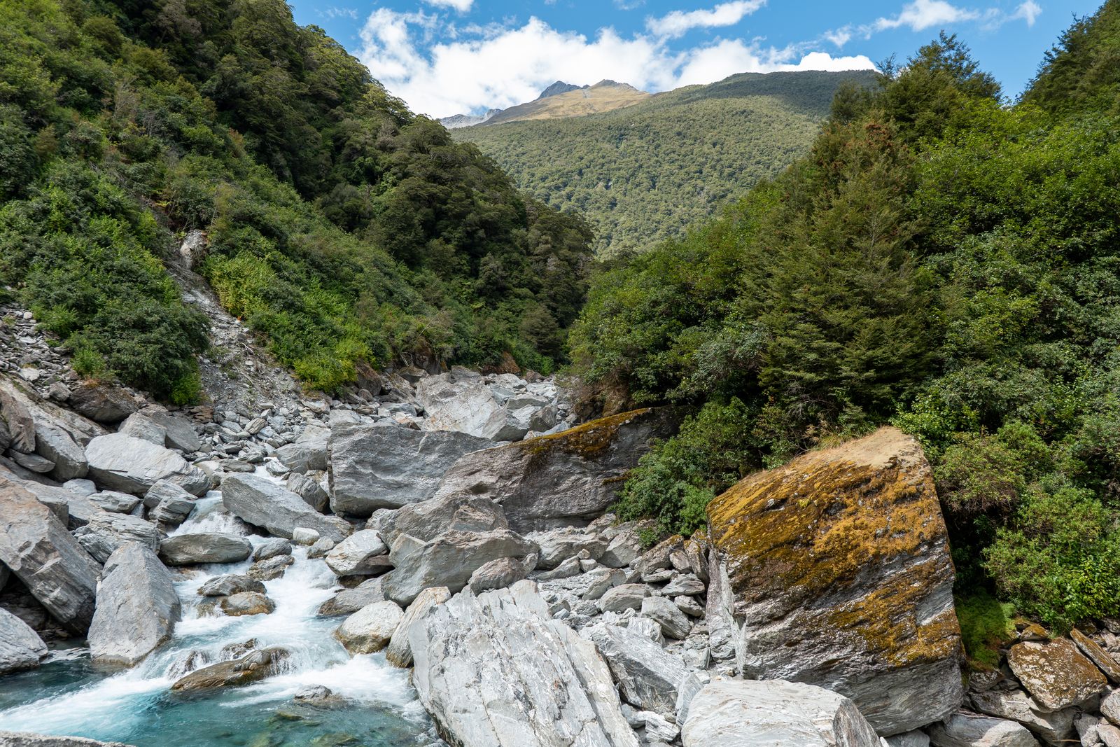 A clear river running over rock through a green gorge. Photo by Mark Direen on Pexels.