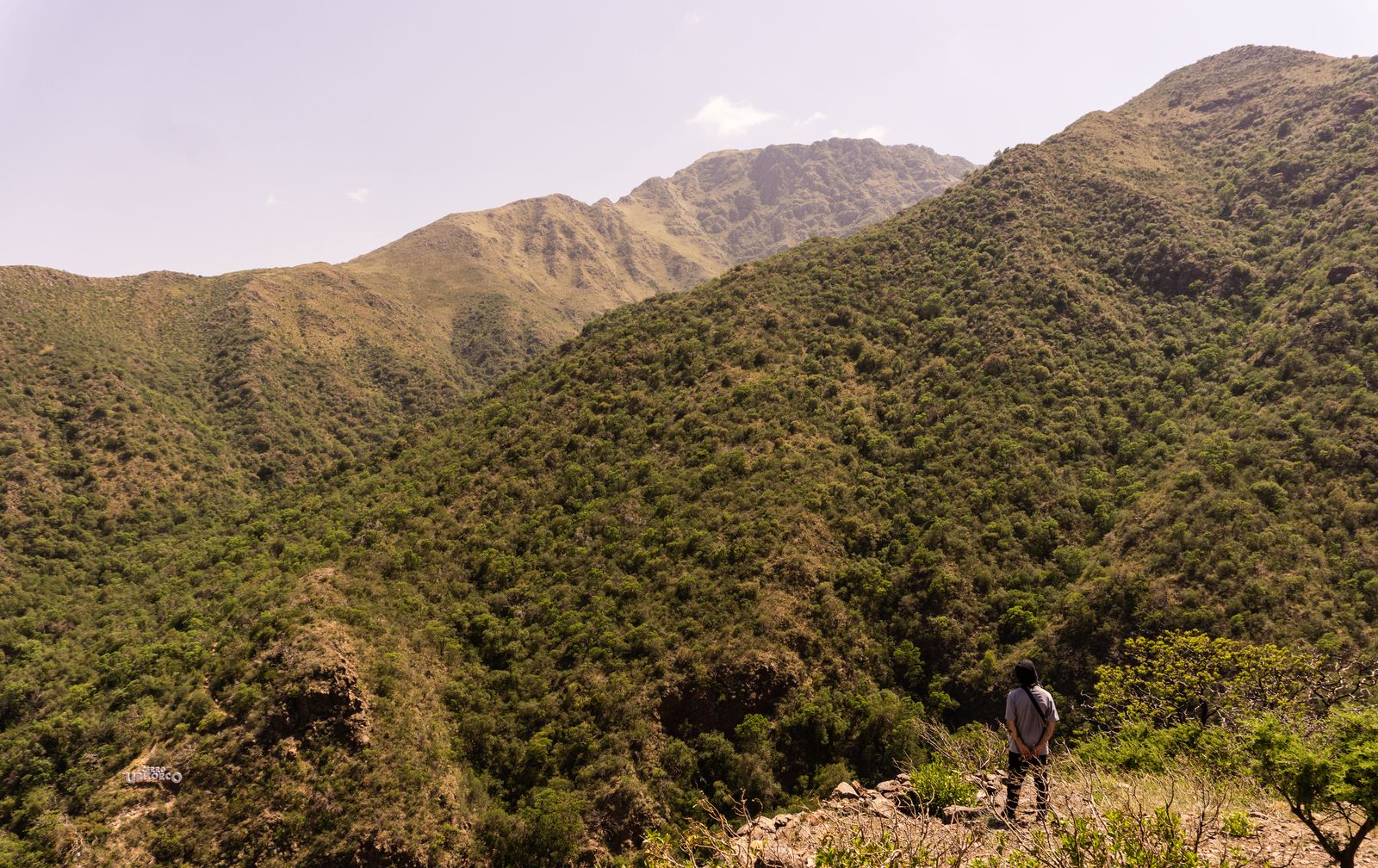 Dry grass and rock on a hillside in the Sierras de Córdoba, one walker for scale. Photo by Mariela Elizabeth Robles on Pexels.