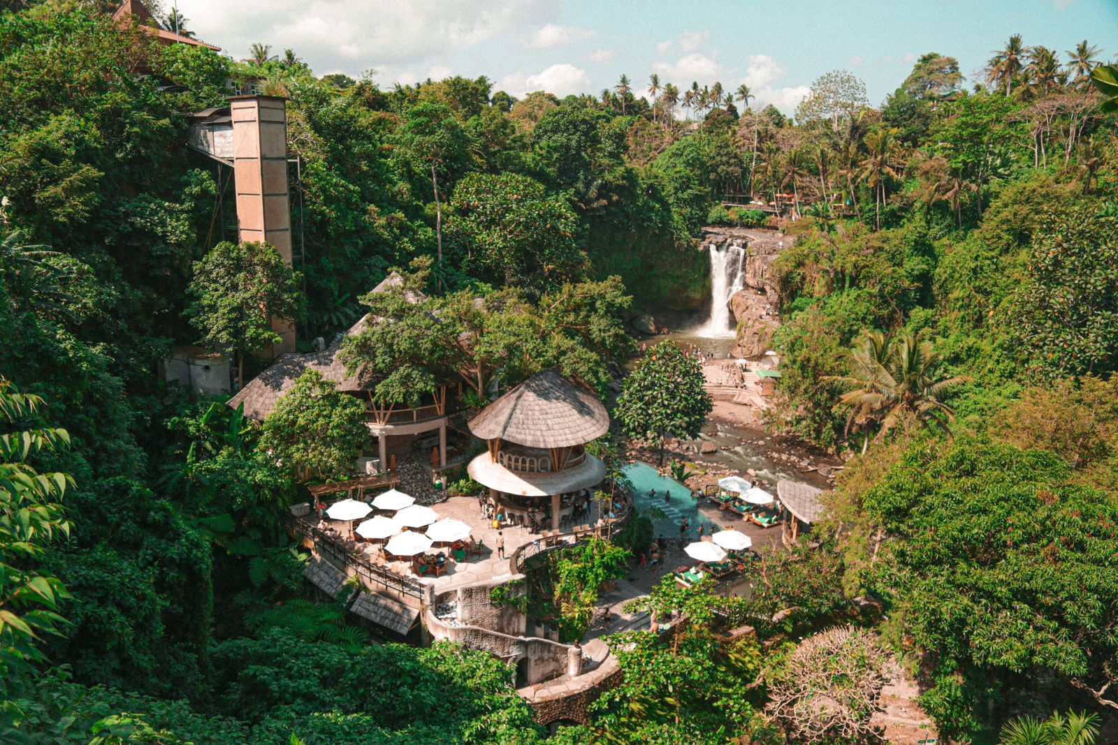 Thatched lodge roofs and a pool set among dense subtropical trees. Photo by Yousef salah on Pexels.