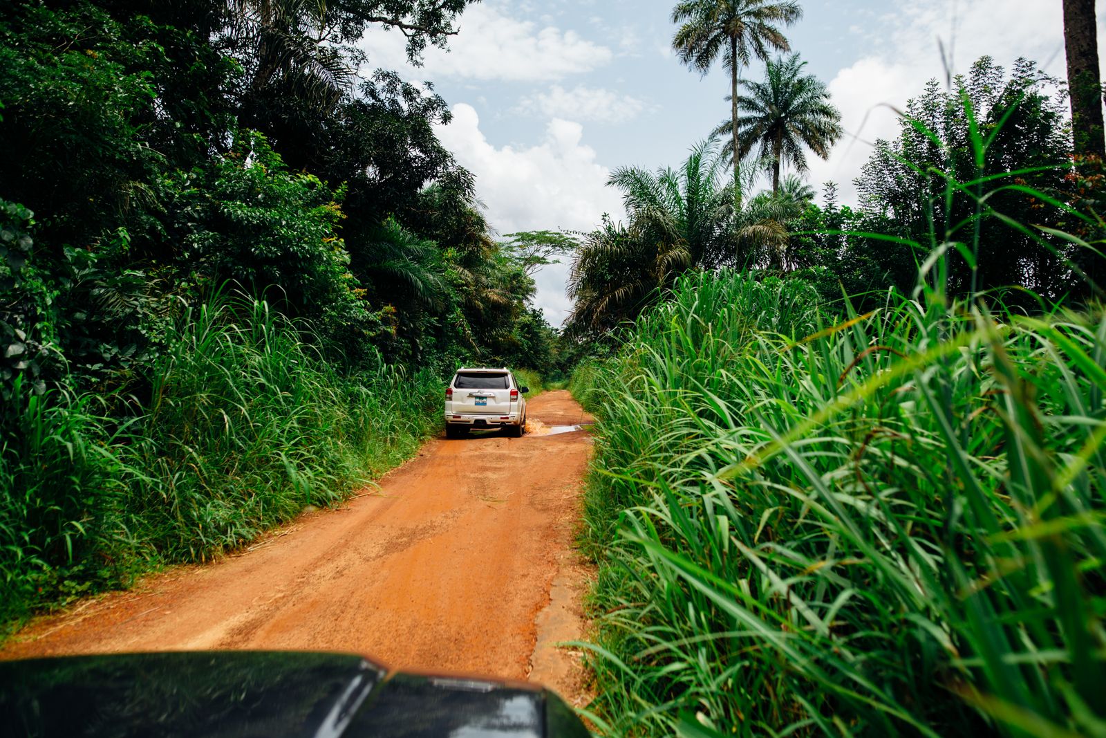 A red laterite road running through green, a truck coming the other way. Photo by K on Pexels.