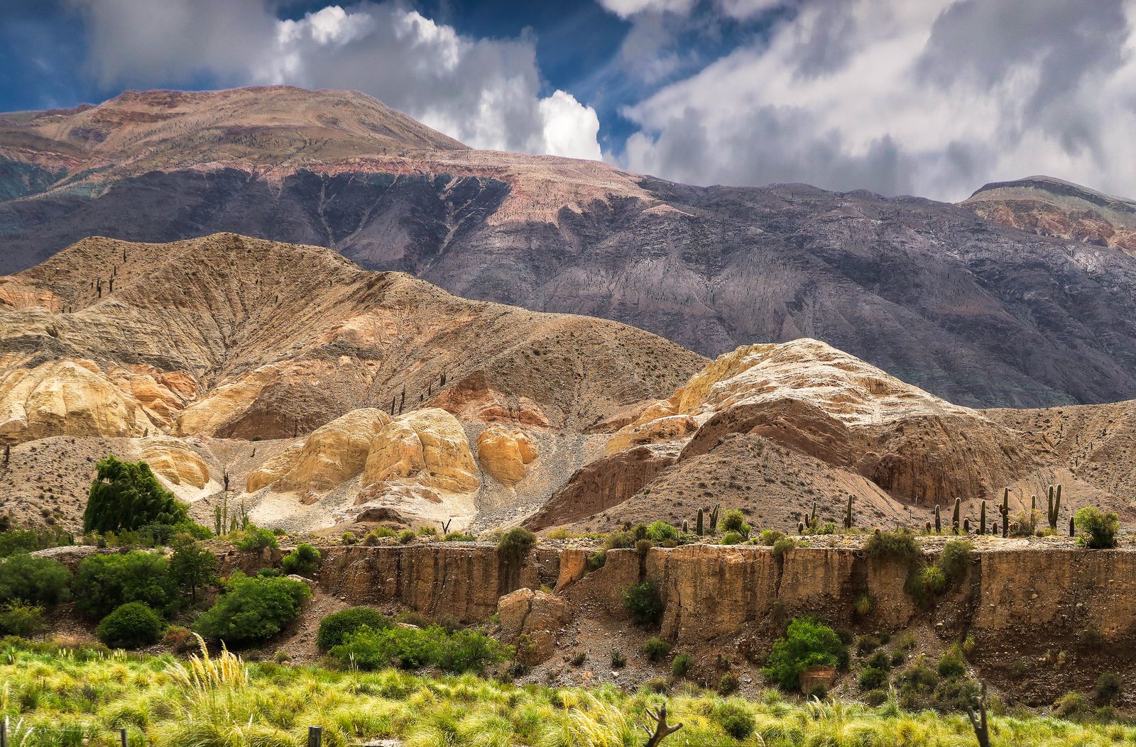 Una ladera de roca ocre en capas con cactus y matorral en primer plano. Foto de Hector Perez en Pexels.