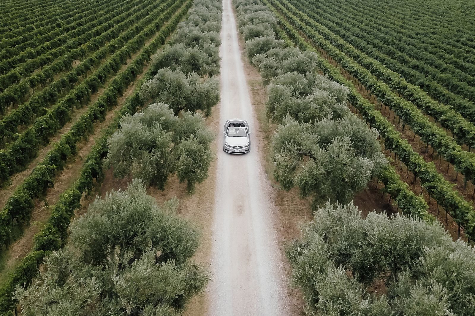 A single car on a dirt track running between long rows of trees, seen from above. Photo by SHVETS production on Pexels.