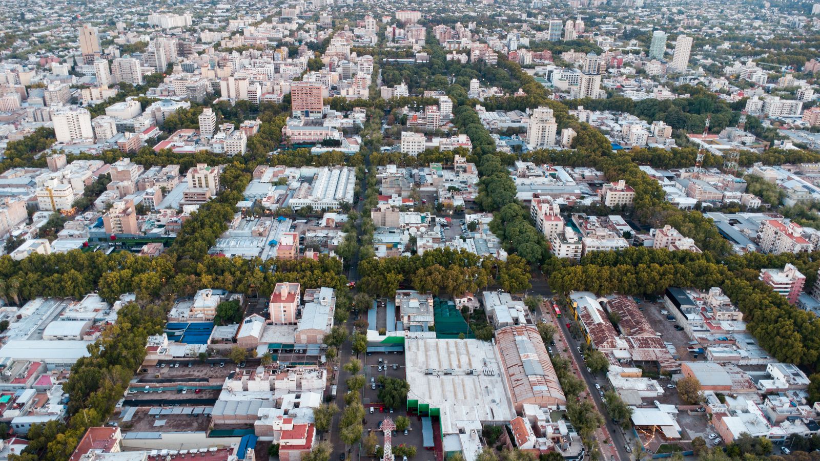 An aerial view of a dense city grid with trees lining every street. Photo by Alex Dos Santos on Pexels.