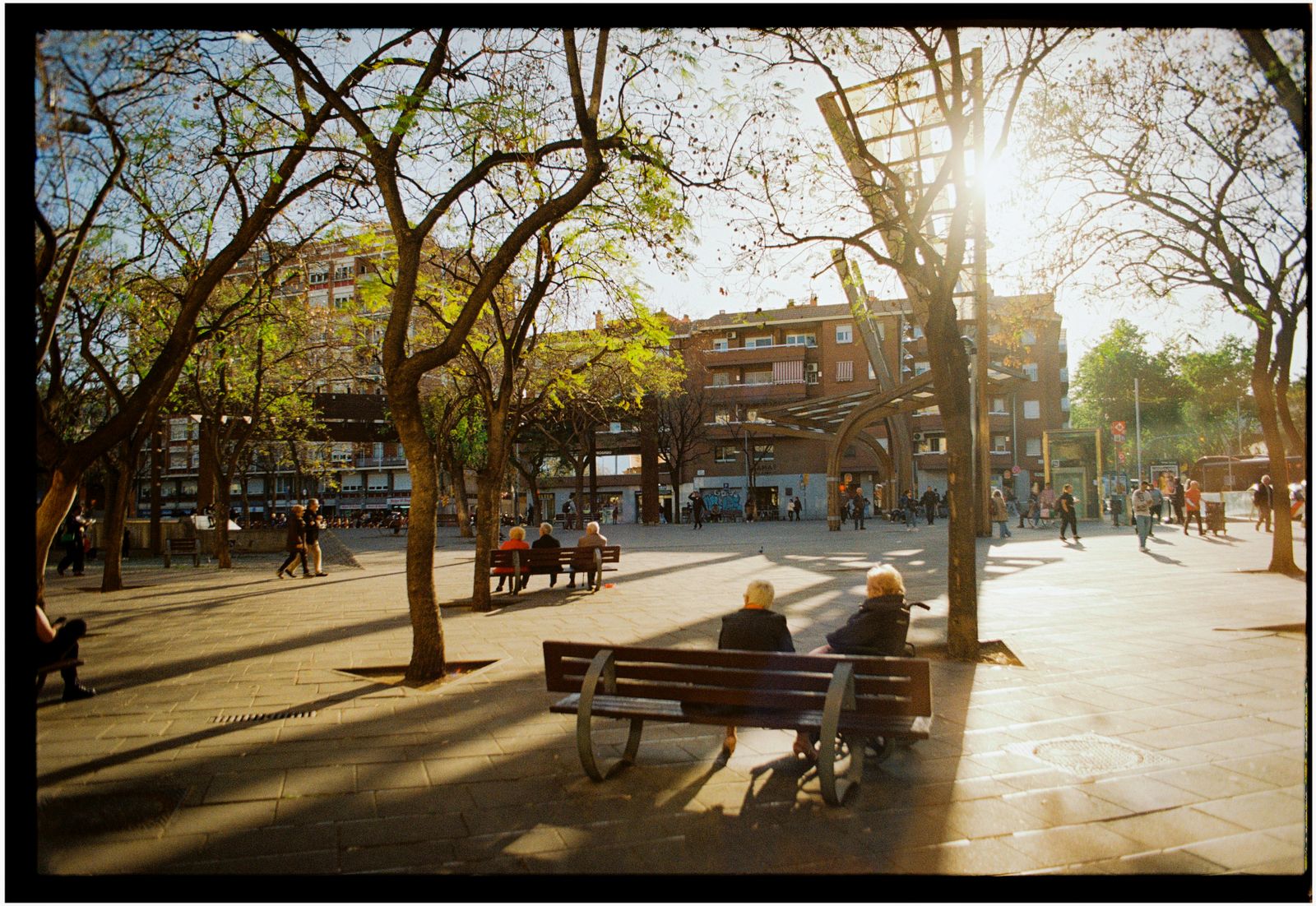 People on benches in a city plaza under tall bare plane trees, backlit by low sun. Photo by Masi on Pexels.