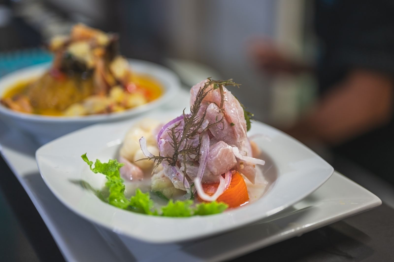 A plate of ceviche with lime and coriander. Photo by Thibault Luycx on Pexels.