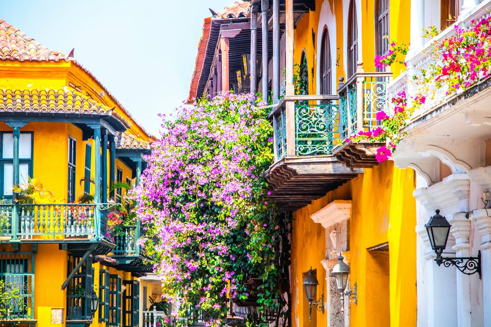 Bougainvillea spilling over the wooden balconies of a yellow colonial building in Cartagena. Photo by Jimmy Woo on Unsplash.