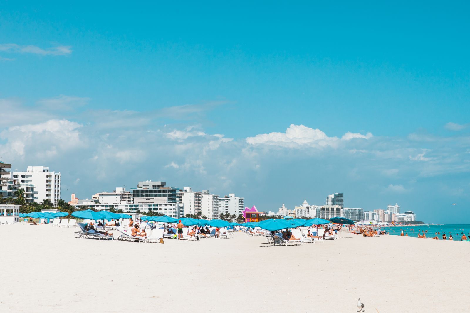 Miami Beach with blue umbrellas on the sand and the skyline behind. Photo by On  Shot on Pexels.