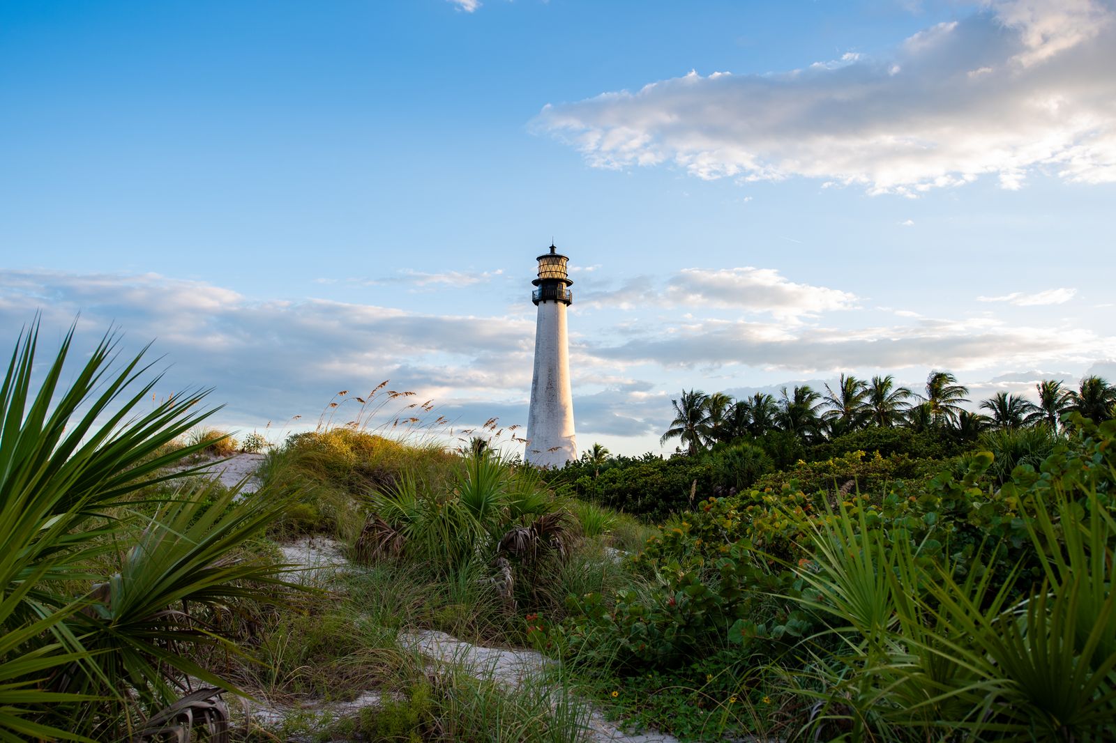 The Cape Florida lighthouse rising above the dunes on Key Biscayne. Photo by Jan Tang on Pexels.
