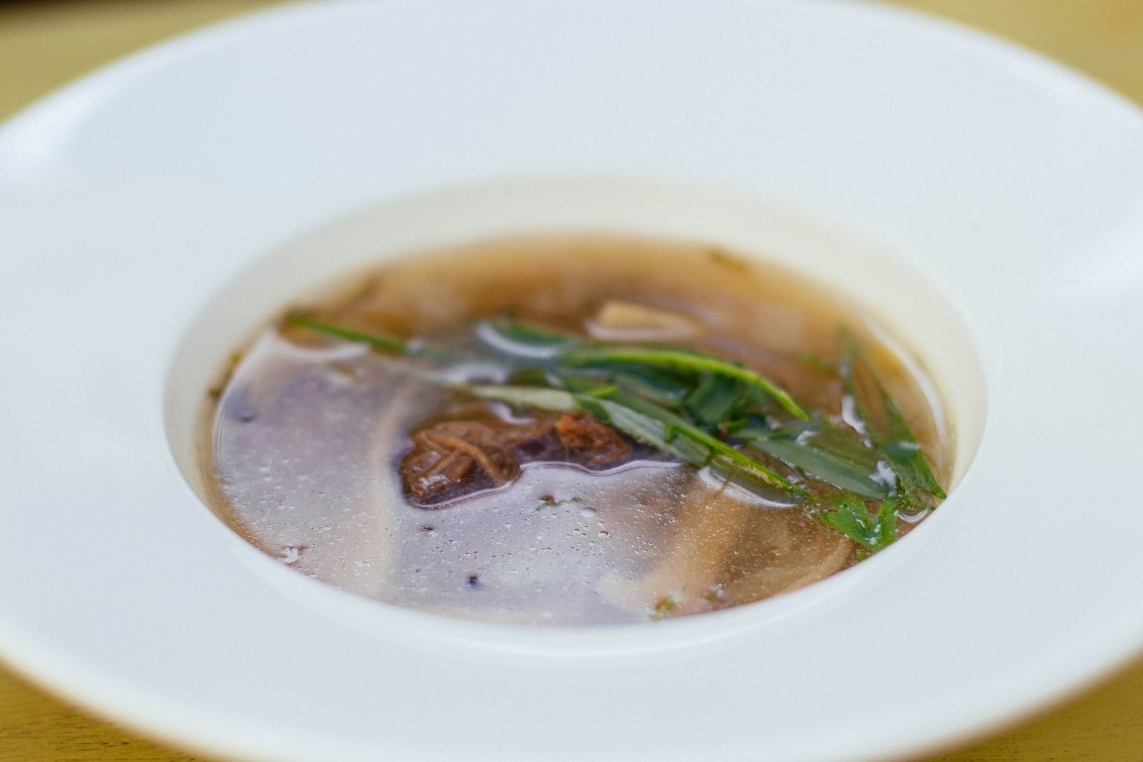 A bowl of clear broth with a piece of meat and fresh herbs. Photo by Valeria Boltneva on Pexels.
