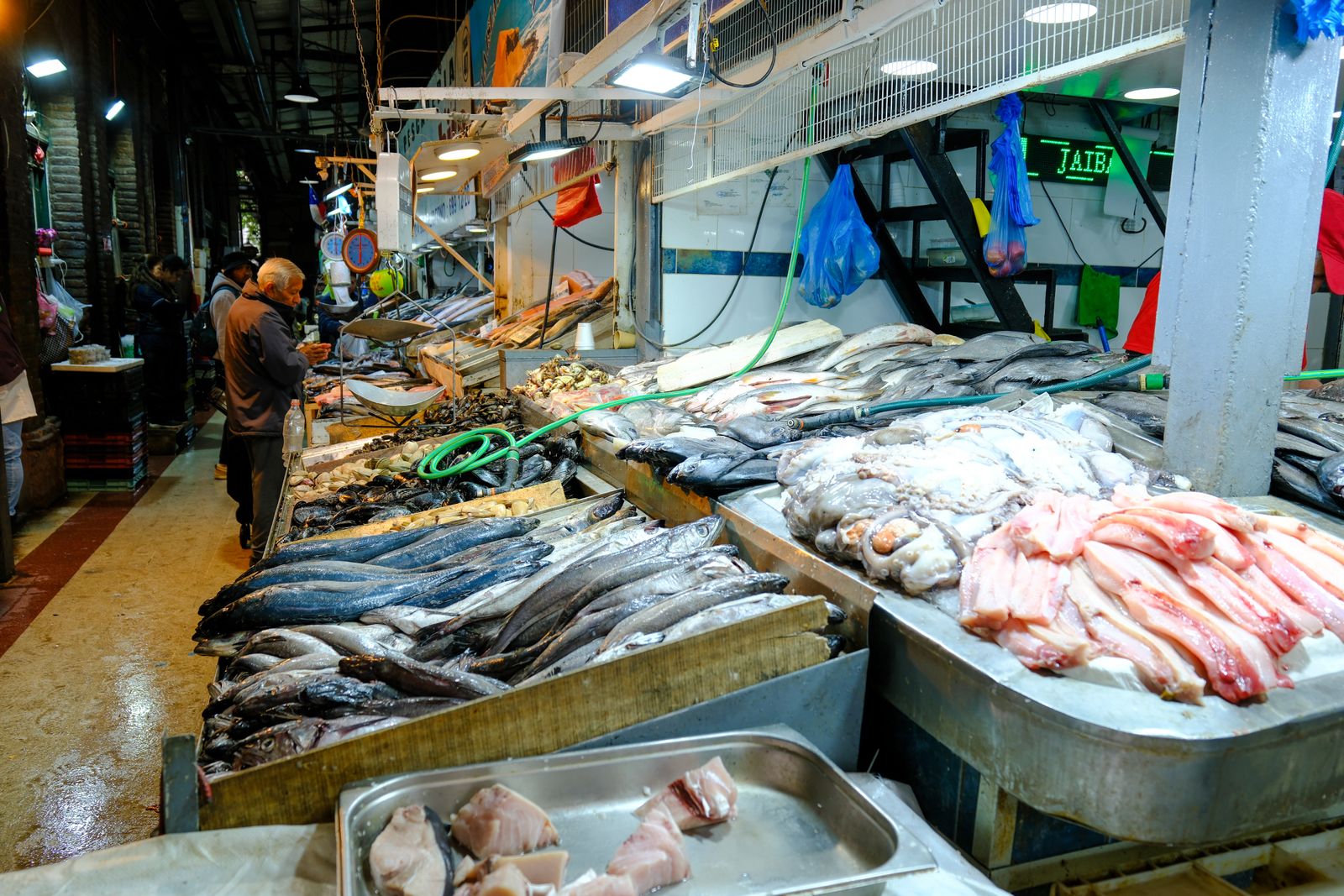 An aisle of a Santiago fish market, the counters laid out with the morning catch. Photo by Mick Latter on Pexels.